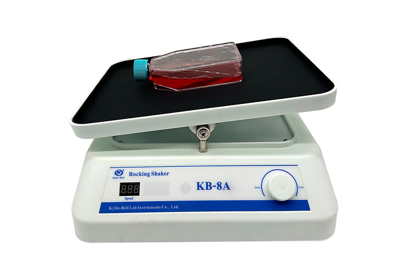 1723706424155860.jpg b9e22e43-ec05-484b-ad2b-7adfc495a5a6.jpg